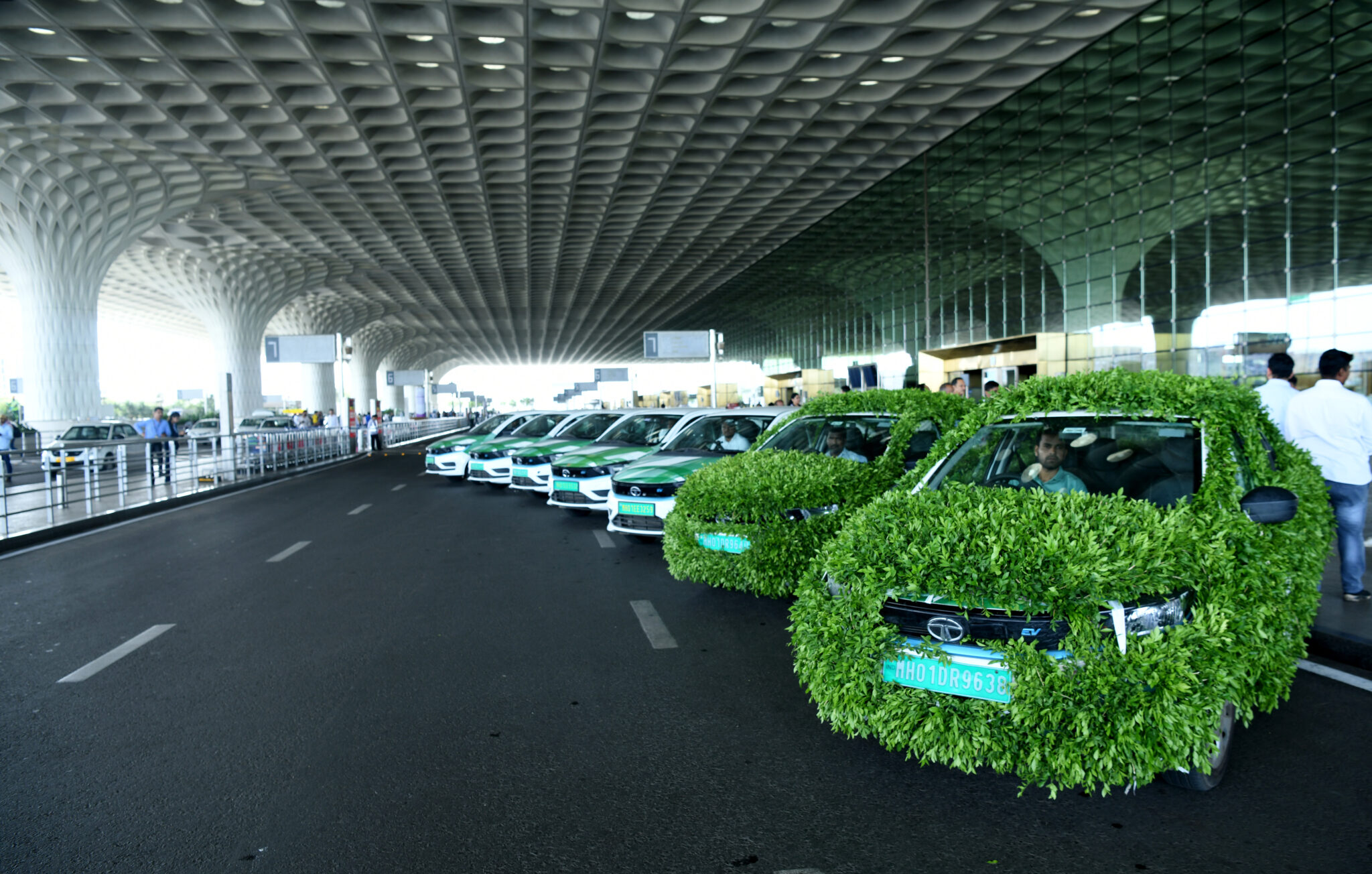 Travel With Pets On Uber In Mumbai: A Complete Guide Travel With Pets On Uber In Mumbai: A Complete Guide