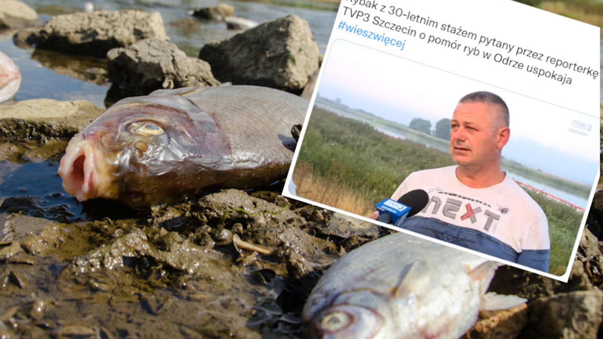 Trzy Lata Po Katastrofie Na Odrze: Ocena Zagrożenia I Profilaktyka Trzy Lata Po Katastrofie Na Odrze: Ocena Zagrożenia I Profilaktyka