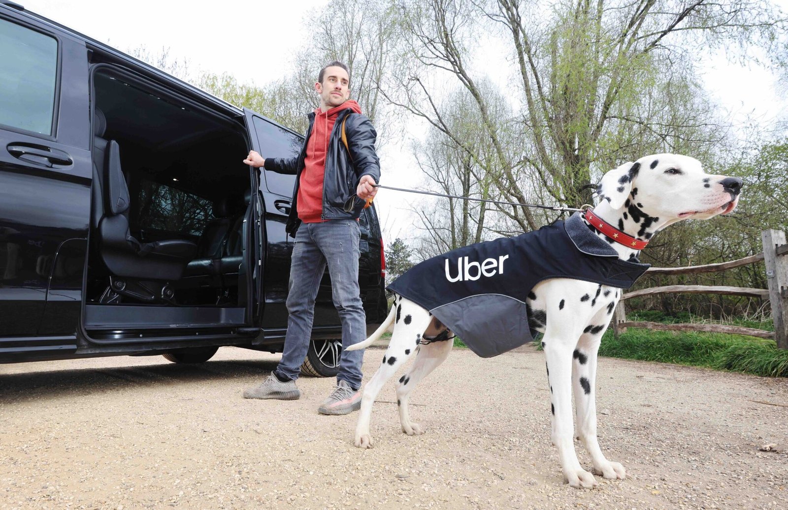 Uber Pet Policy Mumbai: Booking A Ride For Your Pet Uber Pet Policy Mumbai: Booking A Ride For Your Pet