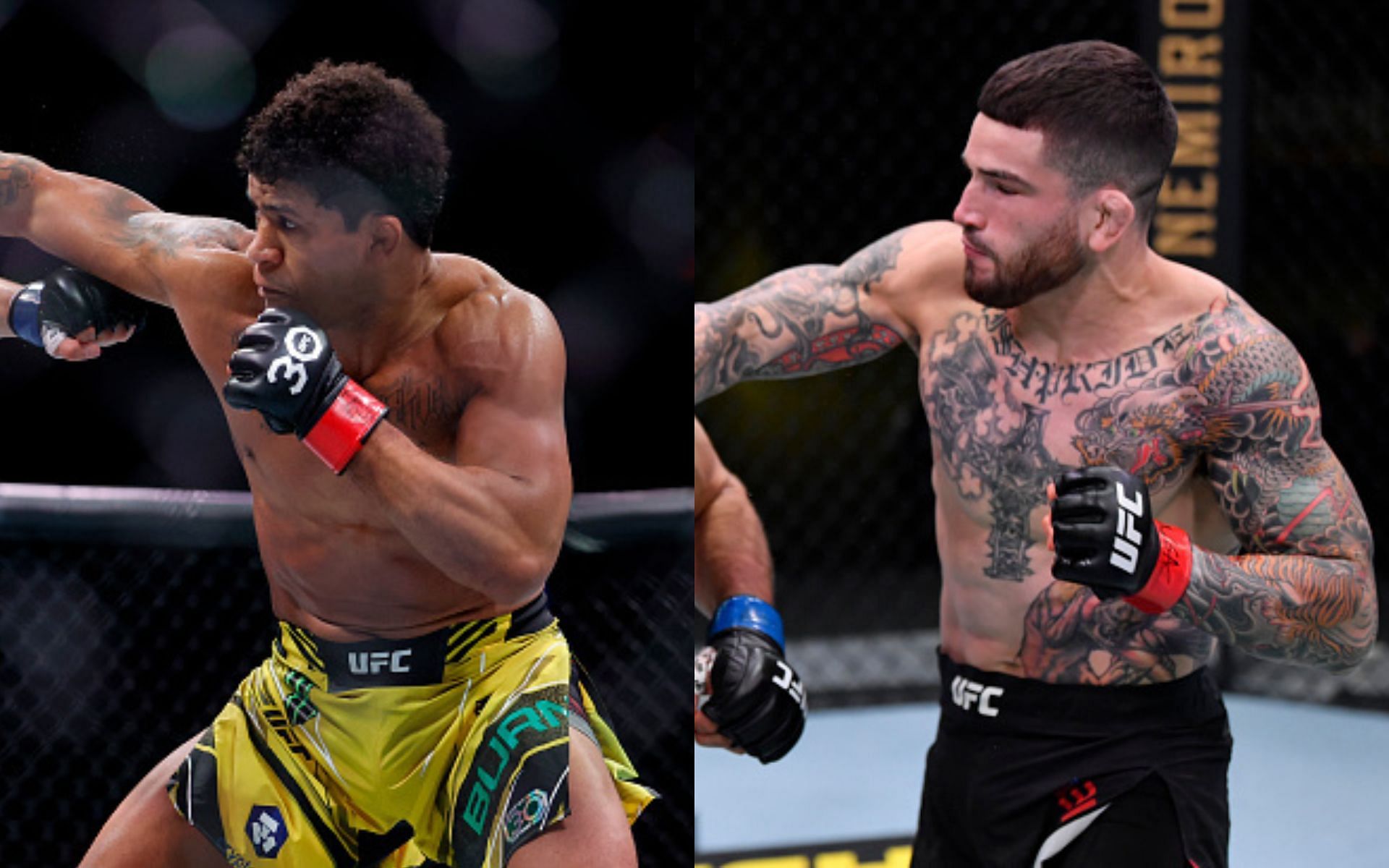 UFC Vegas 106: Everything You Need To Know - Burns Vs. Morales UFC Vegas 106: Everything You Need To Know - Burns Vs. Morales