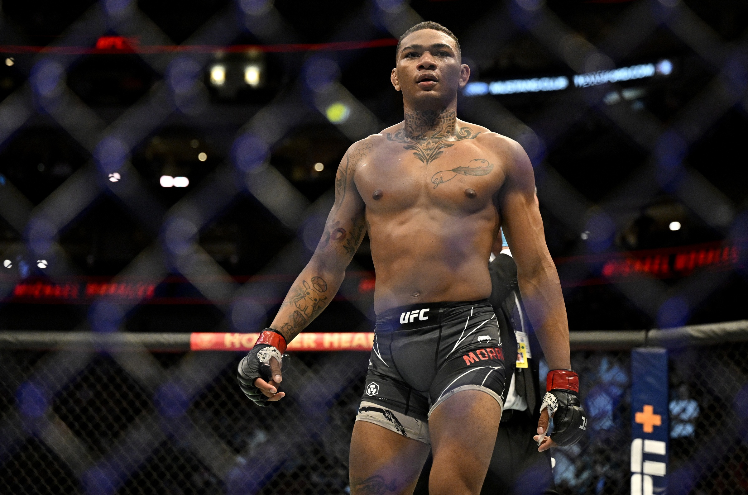 UFC Vegas 106: Michael Morales' Rise After Brutal Burns Knockout UFC Vegas 106: Michael Morales' Rise After Brutal Burns Knockout