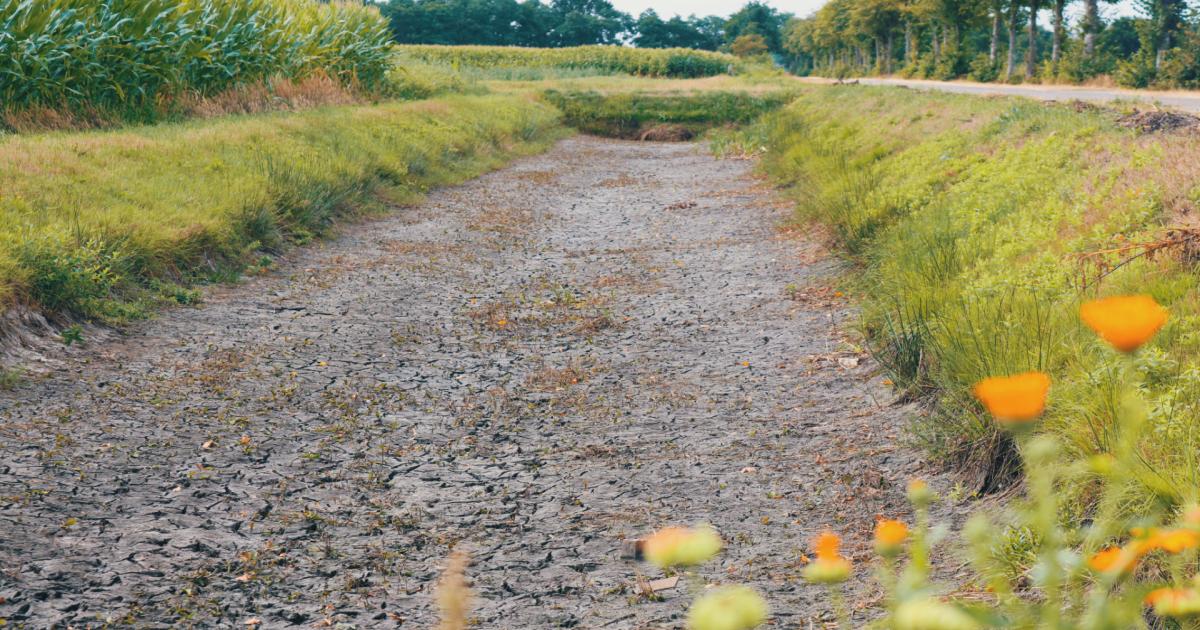 Uitgebreide Afgelasting Paasvuren Drenthe Door Droogte