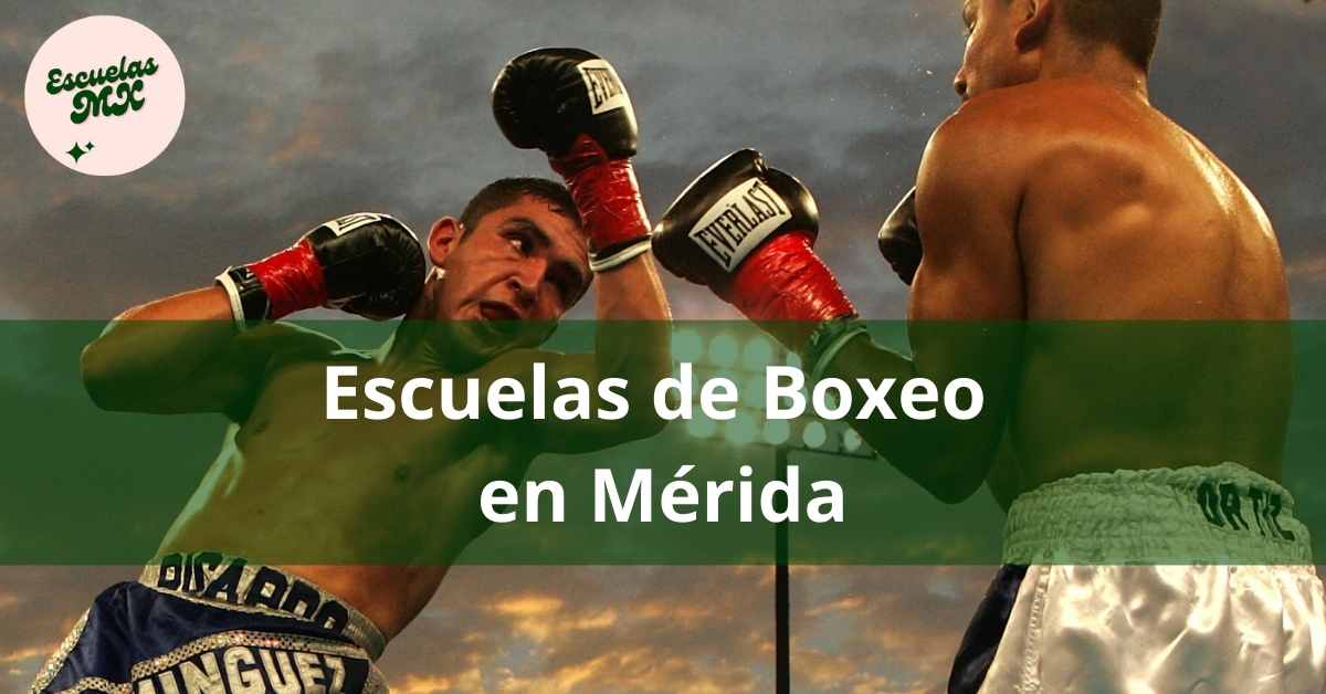 ¡Últimos 3 Días! Clases De Boxeo En Edomex ¡Últimos 3 Días! Clases De Boxeo En Edomex