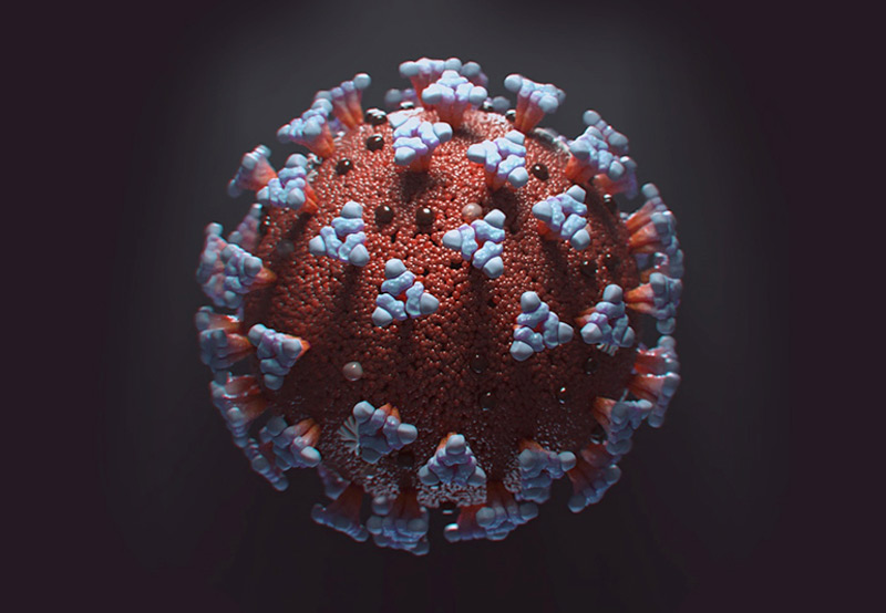 Uncovering The Cause Of Kawasaki Disease: A Single Respiratory Virus Identified? Uncovering The Cause Of Kawasaki Disease: A Single Respiratory Virus Identified?