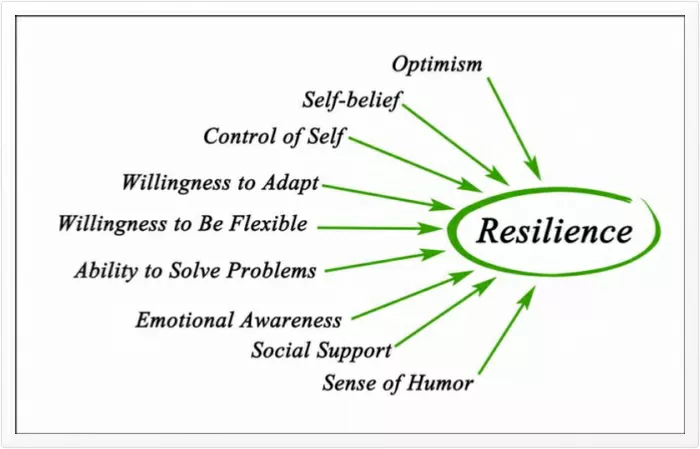 Understanding Resilience & Mental Health: A Path To Well-being Understanding Resilience & Mental Health: A Path To Well-being