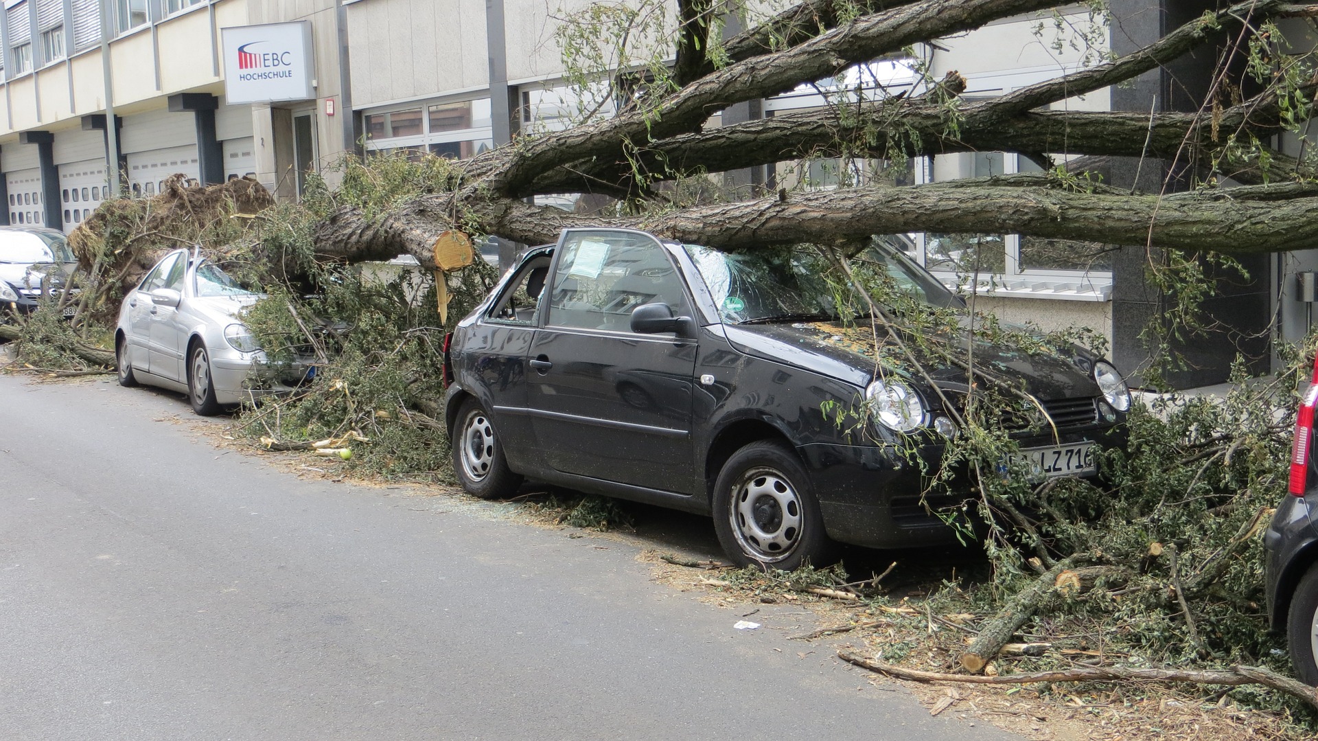 Understanding The Dangers Of Damaging Winds In Fast-Moving Storms Understanding The Dangers Of Damaging Winds In Fast-Moving Storms
