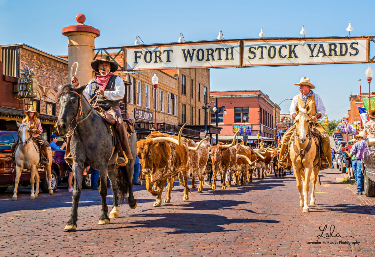 Unexpected Show: Joe Jonas Rocks The Fort Worth Stockyards Unexpected Show: Joe Jonas Rocks The Fort Worth Stockyards