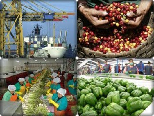 Uruguay Y China: Un Regalo Único Para Potenciar Las Exportaciones Del Sector Ganadero Uruguay Y China: Un Regalo Único Para Potenciar Las Exportaciones Del Sector Ganadero