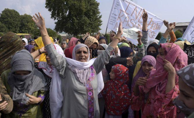 Viral Posts Spark Concern Among Kashmir's Cat Owners Viral Posts Spark Concern Among Kashmir's Cat Owners