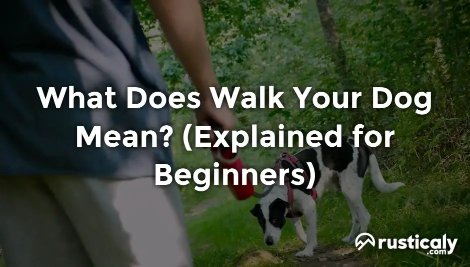 Walk Your Dog, Boost Your Wellbeing: Didcot Event Walk Your Dog, Boost Your Wellbeing: Didcot Event