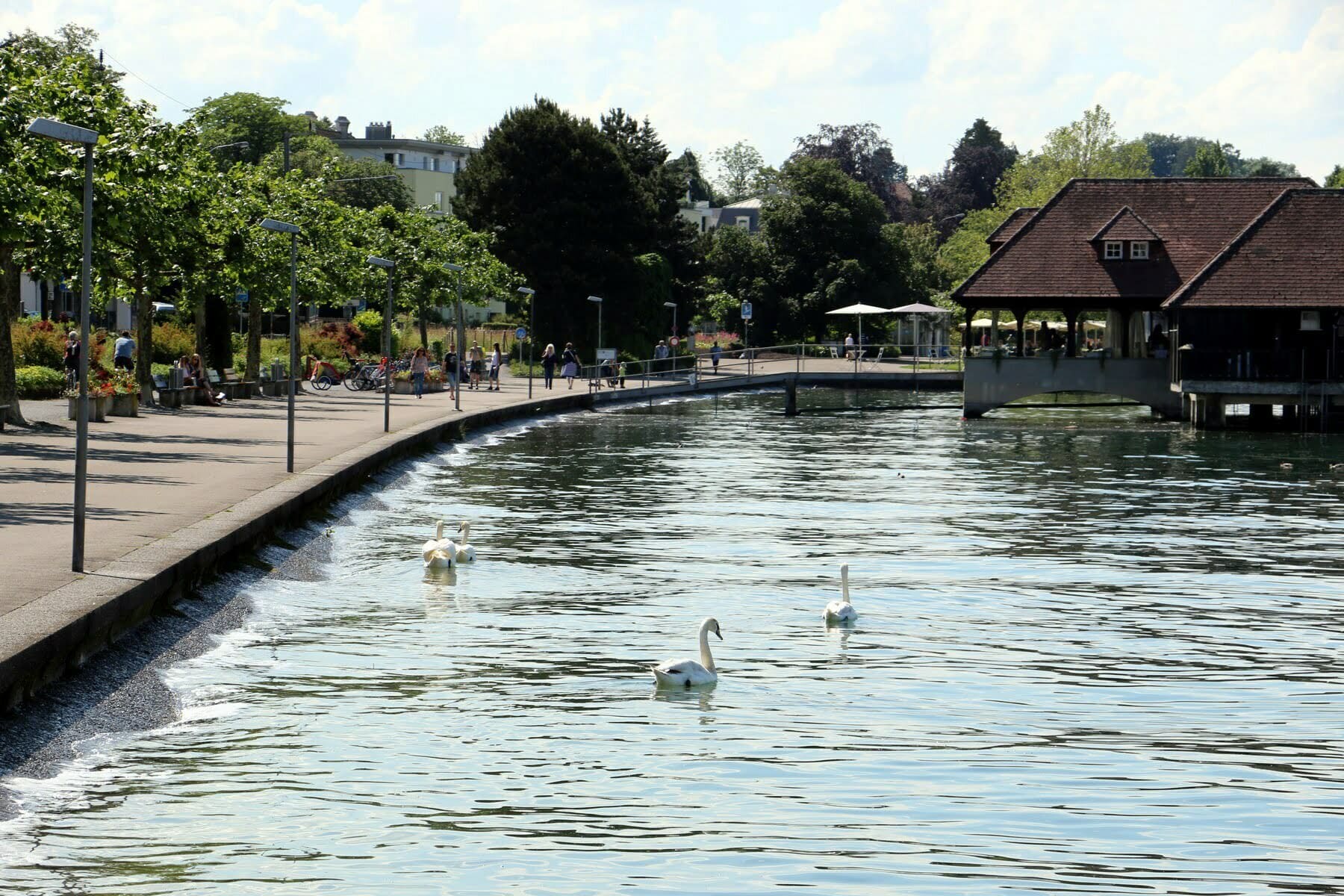 Wasserstand Bodensee: Steigt Er Wieder? Fakten Und Analysen Wasserstand Bodensee: Steigt Er Wieder? Fakten Und Analysen
