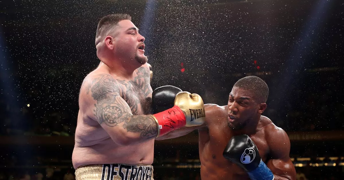 WBO Weighs Usyk-Dubois Rematch: Impact On Parker's Mandatory Challenger Status WBO Weighs Usyk-Dubois Rematch: Impact On Parker's Mandatory Challenger Status