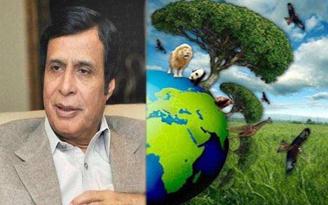 وفاقی حکومت کا لاہور کی احتساب عدالتوں کے خاتمے کا نوٹیفکیشن وفاقی حکومت کا لاہور کی احتساب عدالتوں کے خاتمے کا نوٹیفکیشن