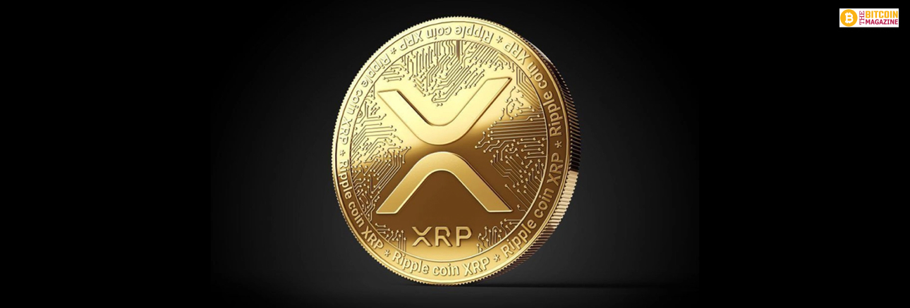 What Is XRP? A Comprehensive Guide For Beginners What Is XRP? A Comprehensive Guide For Beginners