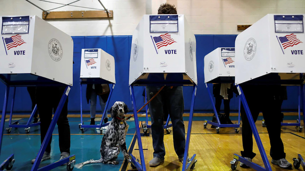 What The Florida And Wisconsin Turnouts Reveal About The Political Climate What The Florida And Wisconsin Turnouts Reveal About The Political Climate