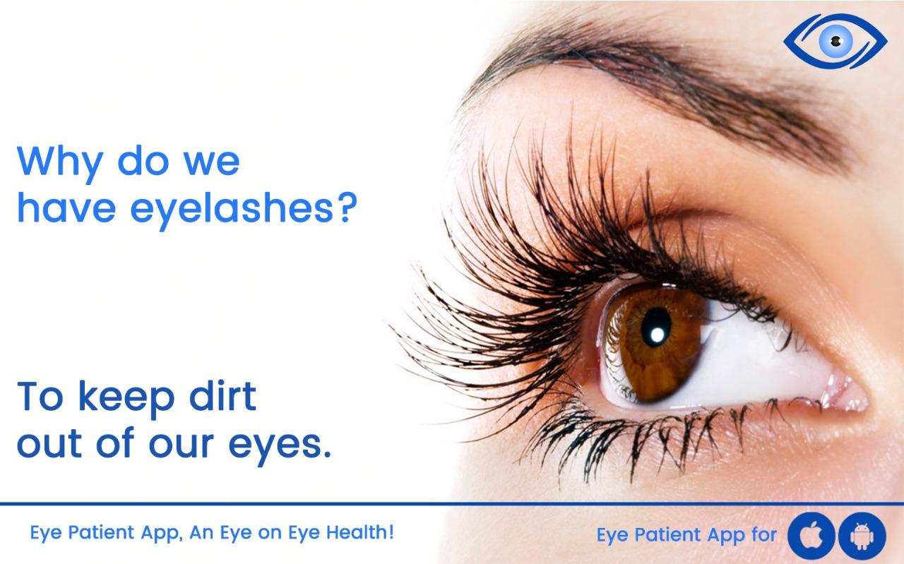 Why Are Men Shaving Their Eyelashes? Why Are Men Shaving Their Eyelashes?
