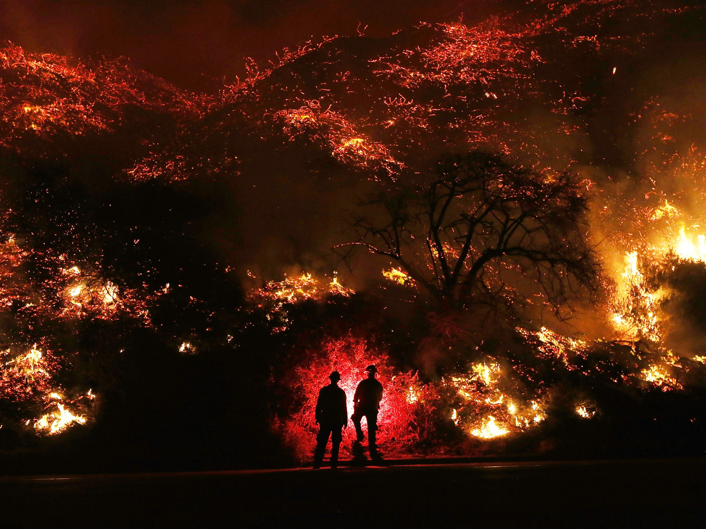 Wildfire Speculation: Analyzing The Implications Of Betting On The Los Angeles Fires Wildfire Speculation: Analyzing The Implications Of Betting On The Los Angeles Fires
