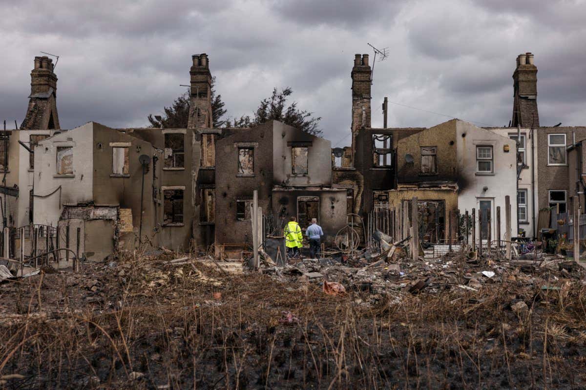 Wildfires Fuel The Extinction Crisis For UK's Rare Wildlife Wildfires Fuel The Extinction Crisis For UK's Rare Wildlife