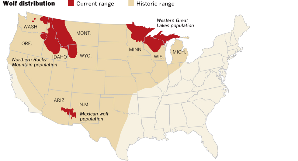 Wildlife Management Challenges: Wolves In Barton's North State Wildlife Management Challenges: Wolves In Barton's North State