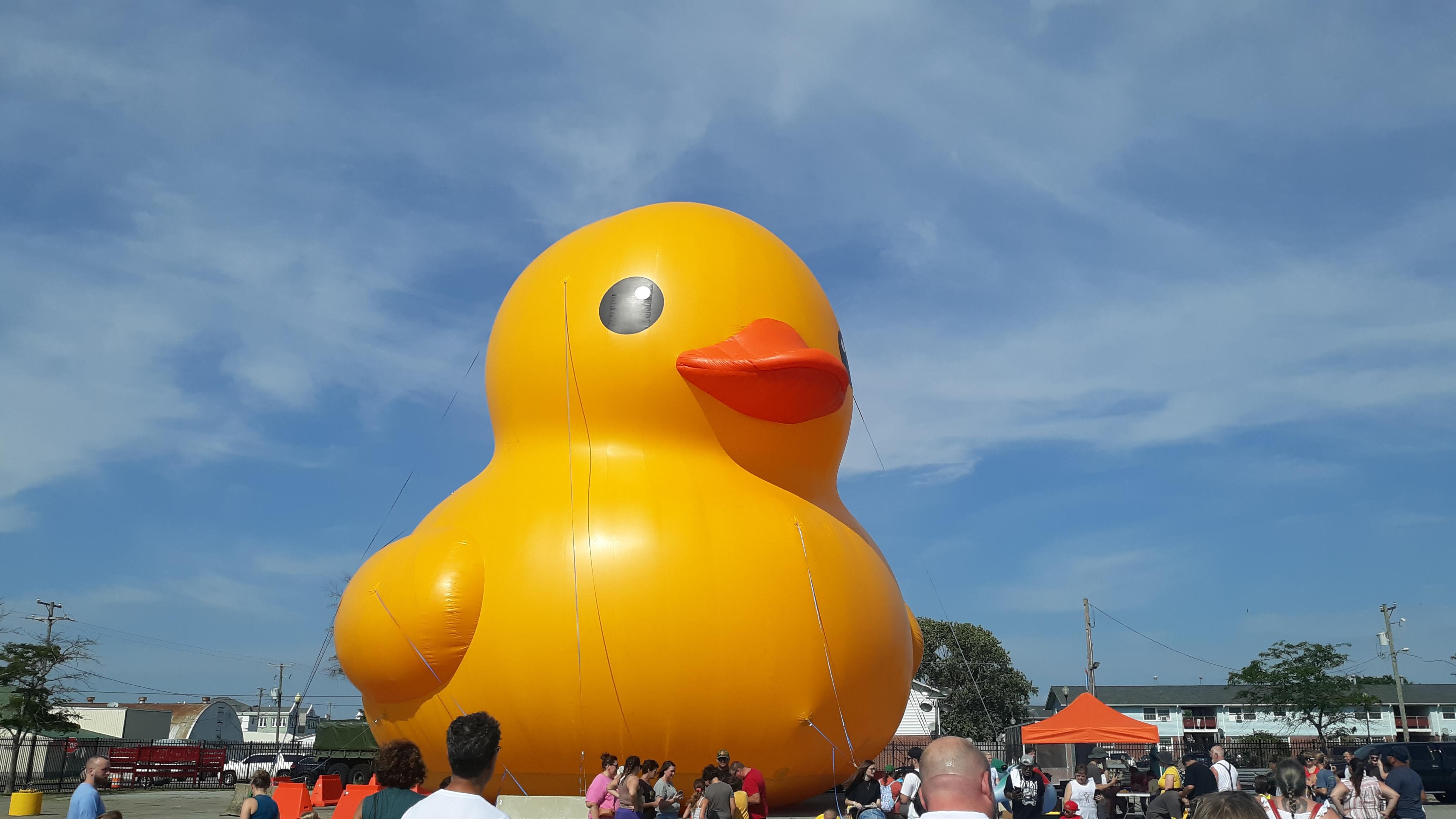 World's Largest Rubber Duck: Myrtle Beach's Unconventional Guest World's Largest Rubber Duck: Myrtle Beach's Unconventional Guest
