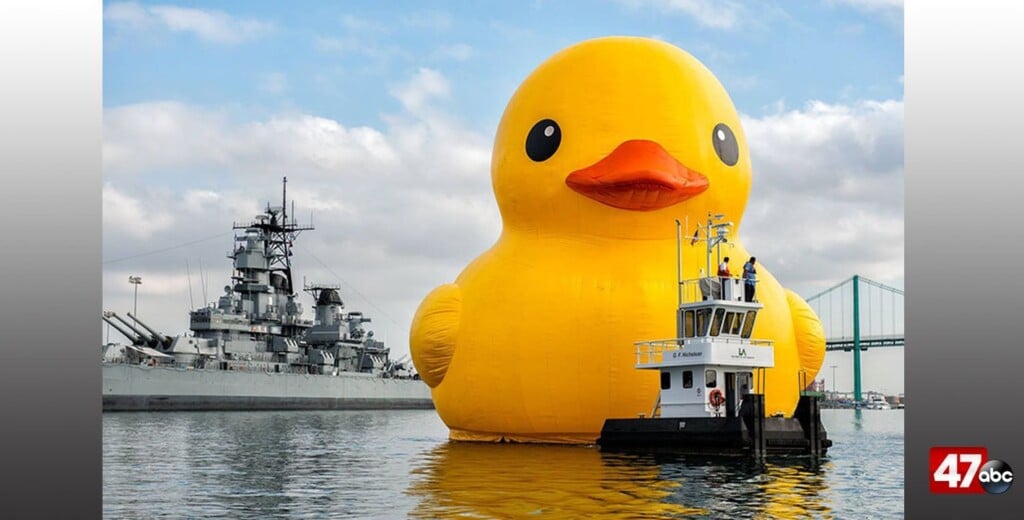 World's Largest Rubber Duck To Make A Splash In Myrtle Beach For Water Safety World's Largest Rubber Duck To Make A Splash In Myrtle Beach For Water Safety