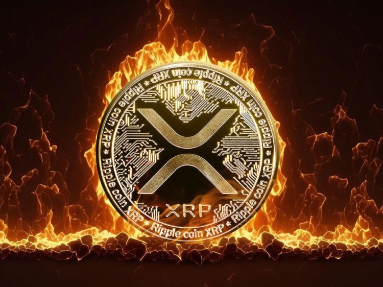XRP Distribution: SBI Holdings Rewards Program Details And Ripple XRP News XRP Distribution: SBI Holdings Rewards Program Details And Ripple XRP News