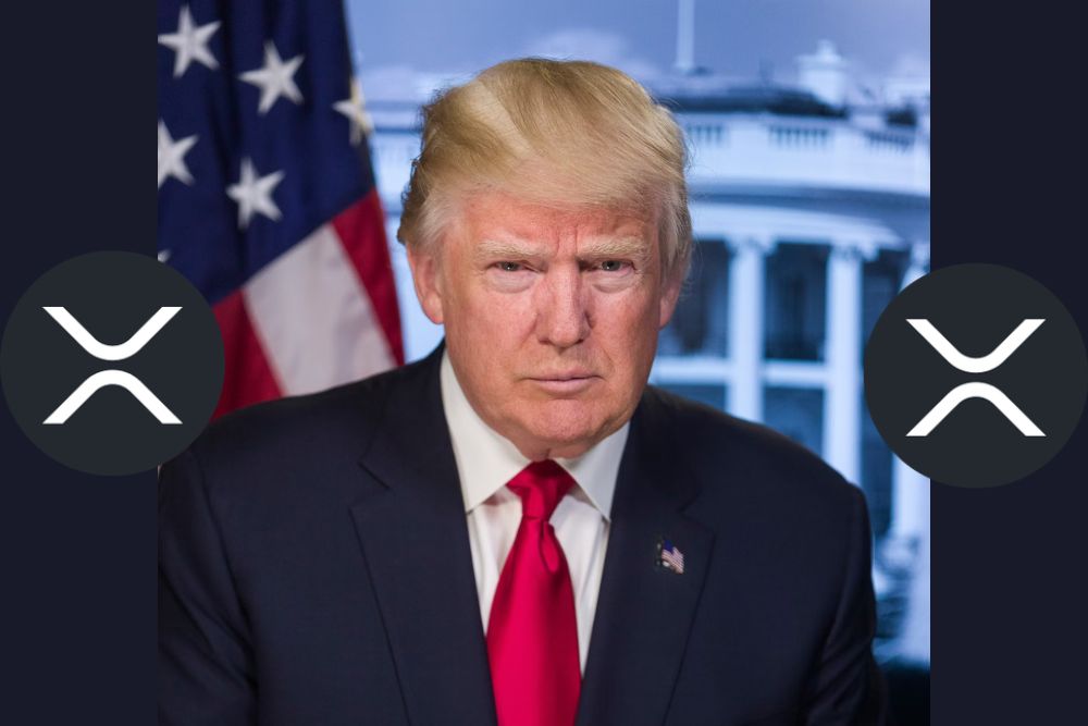 XRP Price Jump: Impact Of Trump's Ripple Article On Cryptocurrency