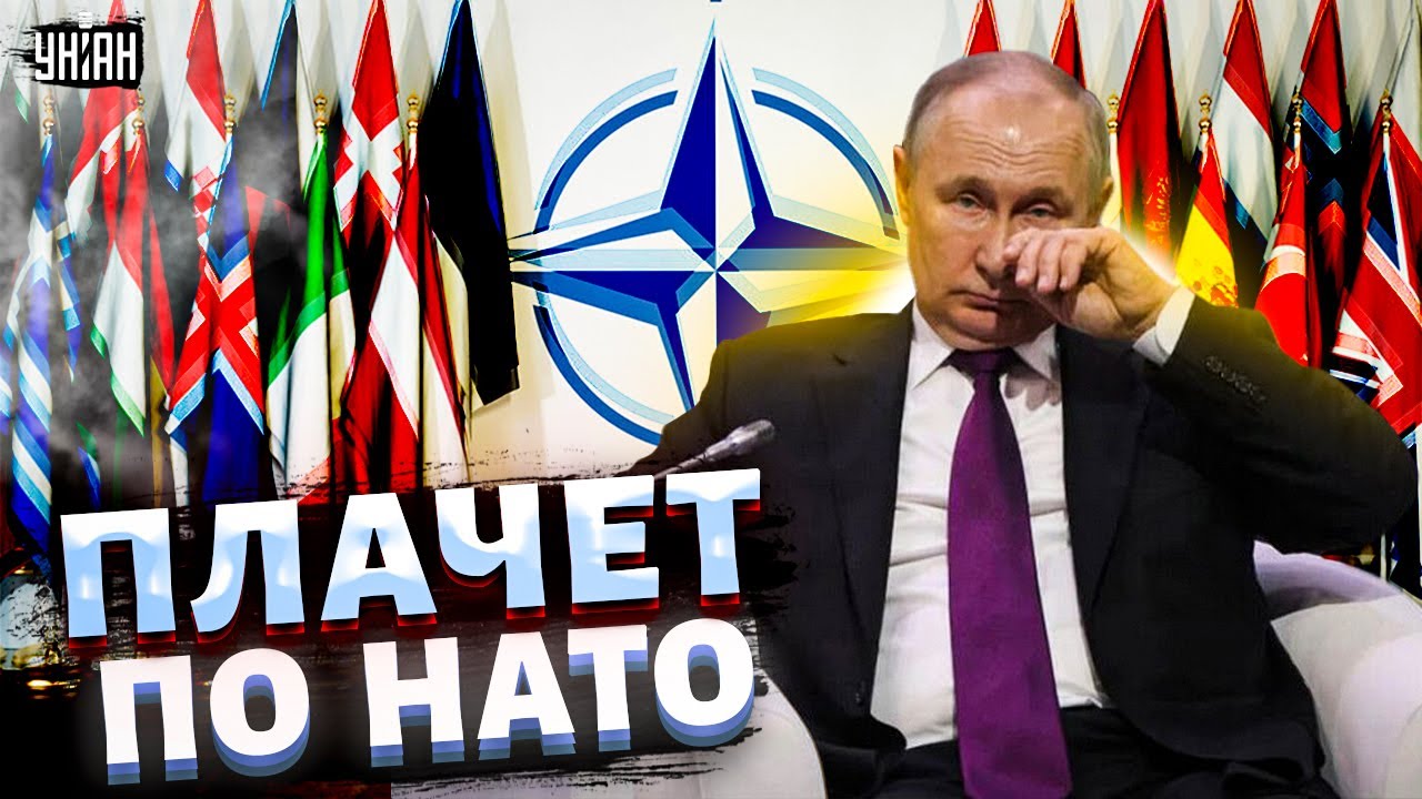 Заигрался С Украиной: Макрон И Угроза Потери Алжира Заигрался С Украиной: Макрон И Угроза Потери Алжира