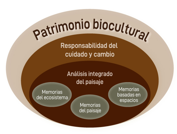 Zaragoza Y Su Patrimonio: Un Diploma Europeo Que Lo Reconoce Zaragoza Y Su Patrimonio: Un Diploma Europeo Que Lo Reconoce
