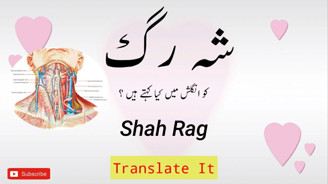 زیرِ خنجر شہ رگ: ایکسپریس اردو کا جائزہ زیرِ خنجر شہ رگ: ایکسپریس اردو کا جائزہ